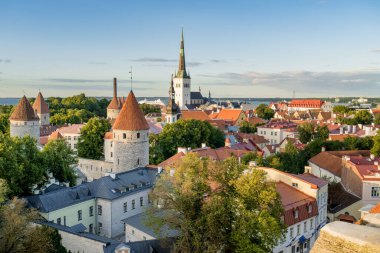 Güneşli bir yaz sabahında Tallinn Old Town 'un ikonik gökyüzü manzarası. St. Olaf Kilisesi, St. Michael Kilisesi, Alexander Nevsky Katedrali, savunma duvarları, çatılar. UNESCO Dünya Mirası sahası, Estonya