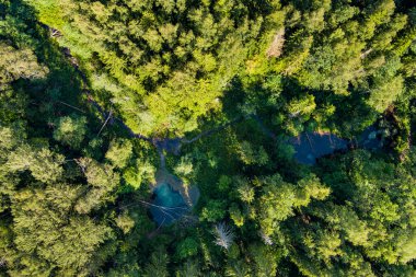 Saula Blue Springs ya da Saula Siniallikad, doğal ve kültürel miras alanı. İyileştirici gücü olan mavi rengin kurban baharı olduğuna inanılıyor. Saula köyü, Kose bölgesi, Harju ilçesi, Estonya.