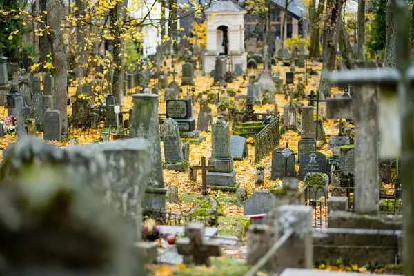 stock image VILNIUS, LITHUANIA - OCTOBER 30, 2023: Yellow fallen autumn leaves covering gravestones of Bernardine cemetery, one of the three oldest graveyards in Vilnius, Lithuania.