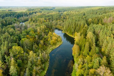 Laju takas 'ın havadan görünüşü, yürüyüş yolu, bilgi merkezi ve gözlem kulesi olan ağaç tepe örtüsü kompleksi, Litvanya' nın Anyksciai şehrinde yer almaktadır.