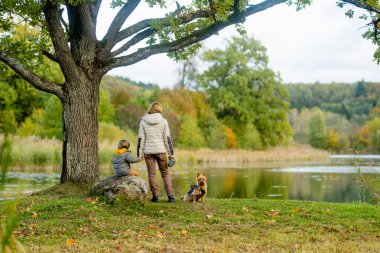 Anne ve küçük oğlu soylu Avustralyalı teriyer köpeklerini sonbahar parkında gezdiriyorlar. Siyah ve samur bronzlaşmış tipik Avustralya teriyerinin sonbahar portresi..
