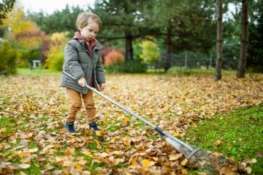 Küçük şirin çocuk sonbahar günü bahçe tırmığıyla oynuyor. Üç yaşındaki bir çocuk ev işlerine yardım ediyor. Çocuklar için aktif boş zaman.