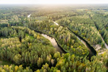 Aerial view of Sventoji river winding through autumn forest. Beautiful aerial forest scene near Anyksciai, Lithuania. Green trees and river on sunny fall day. clipart