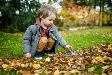 Küçük şirin çocuk sonbahar günü bahçe tırmığıyla oynuyor. Üç yaşındaki bir çocuk ev işlerine yardım ediyor. Çocuklar için aktif boş zaman.