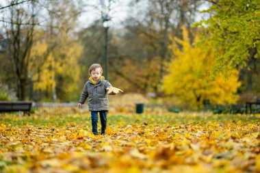 Güneşli bir sonbahar gününde dışarıda oynayan sevimli bir çocuk. Doğayı keşfeden çocuk. Küçük çocuklar için sonbahar aktiviteleri.