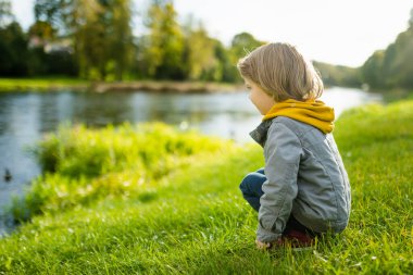 Güneşli bir sonbahar gününde dışarıda oynayan sevimli bir çocuk. Doğayı keşfeden çocuk. Küçük çocuklar için sonbahar aktiviteleri.
