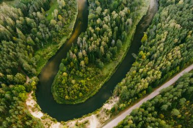 Sventoji nehrinin sonbahar ormanlarında uçuşunu gösteren hava manzarası. Litvanya, Anyksciai yakınlarında güzel bir orman manzarası. Güneşli sonbahar gününde yeşil ağaçlar ve nehir.