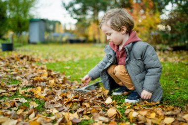Küçük şirin çocuk sonbahar günü bahçe tırmığıyla oynuyor. Üç yaşındaki bir çocuk ev işlerine yardım ediyor. Çocuklar için aktif boş zaman.