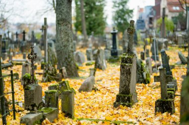 Vilnius, Litvanya 'daki en eski üç mezarlıktan biri olan Bernardine mezarlığının mezar taşlarını kaplayan sarı sonbahar yaprakları.