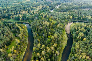 Sventoji nehrinin sonbahar ormanlarında uçuşunu gösteren hava manzarası. Litvanya, Anyksciai yakınlarında güzel bir orman manzarası. Güneşli sonbahar gününde yeşil ağaçlar ve nehir.