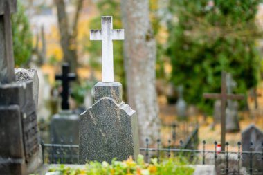 Vilnius, Litvanya 'daki en eski üç mezarlıktan biri olan Bernardine mezarlığının mezar taşlarını kaplayan sarı sonbahar yaprakları.