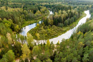 Sventoji nehrinin sonbahar ormanlarında uçuşunu gösteren hava manzarası. Litvanya, Anyksciai yakınlarında güzel bir orman manzarası. Güneşli sonbahar gününde yeşil ağaçlar ve nehir.