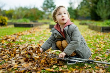 Küçük şirin çocuk sonbahar günü bahçe tırmığıyla oynuyor. Üç yaşındaki bir çocuk ev işlerine yardım ediyor. Çocuklar için aktif boş zaman.