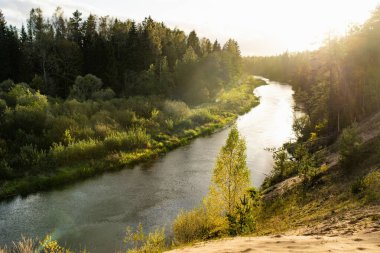 Sventoji nehri sonbahar ormanlarında süzülüyor. Litvanya, Anyksciai yakınlarında güzel bir orman manzarası. Güneşli sonbahar gününde yeşil ağaçlar ve nehir.