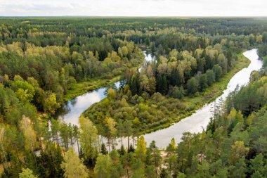 Sventoji nehrinin sonbahar ormanlarında uçuşunu gösteren hava manzarası. Litvanya, Anyksciai yakınlarında güzel bir orman manzarası. Güneşli sonbahar gününde yeşil ağaçlar ve nehir.