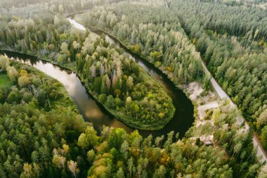 Sventoji nehrinin sonbahar ormanlarında uçuşunu gösteren hava manzarası. Litvanya, Anyksciai yakınlarında güzel bir orman manzarası. Güneşli sonbahar gününde yeşil ağaçlar ve nehir.