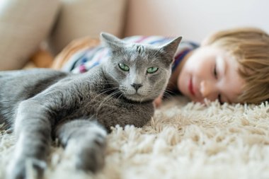 Şirin çocuk yerde, dost canlısı Rus Mavi Safkan Kedisi 'ni okşuyor. Komik çocuk ve evcil hayvanı.