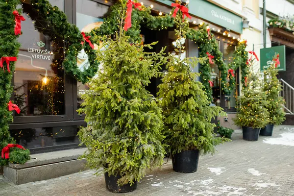 VILNIUS, LITHUANIA - 30 Kasım 2023: Noelde Vilnius Eski Kasabası 'nın dar sokakları süslenmiştir. Litvanya 'nın başkentinde Noel ve Yeni Yıl Kutlaması.