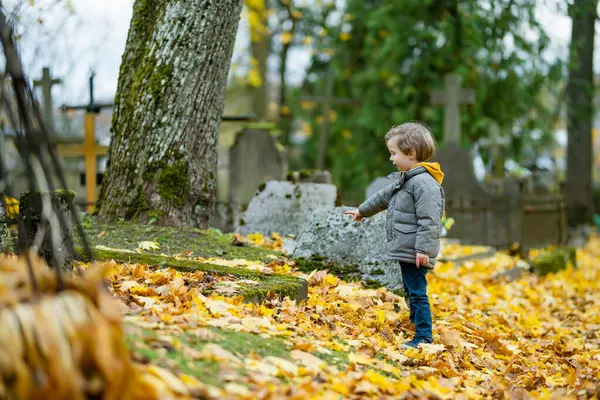 stock image Little boy walking on yellow fallen autumn leaves covering gravestones of Bernardine cemetery, one of the three oldest graveyards in Vilnius, Lithuania.