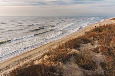 Litvanya 'nın Klaipeda kenti yakınlarındaki Baltık Denizi kıyı şeridinin hava görüntüsü. Soğuk ve karlı kış gününde güzel deniz kıyıları. Baltık denizinde kış.