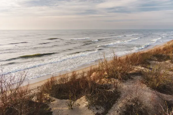 Litvanya 'nın Klaipeda kenti yakınlarındaki Baltık Denizi kıyı şeridinin hava görüntüsü. Soğuk ve karlı kış gününde güzel deniz kıyıları. Baltık denizinde kış.