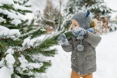 Sevimli küçük çocuk karlı kış gününde eğleniyor. Karda oynayan, kalın giysiler giymiş şirin bir çocuk. Çocuklu aileler için kış etkinlikleri.