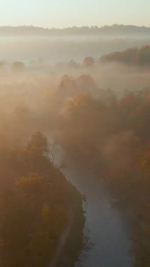 Sonbaharda sarı ve turuncu yapraklı güzel sisli ormanın hava manzarası. Kuşlar sabahın köründe ağaçları ve nehri görür. Litvanya, Vilnius 'ta sonbahar şehir parkı manzarası.