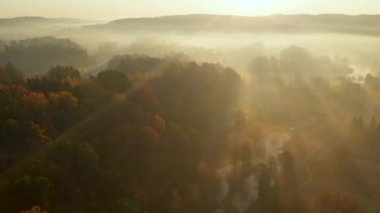 Sonbaharda sarı ve turuncu yapraklı güzel sisli göl manzarası. Kuşlar sabahın köründe ağaçları ve nehri görür. Litvanya, Vilnius 'ta sonbahar şehir parkı manzarası.
