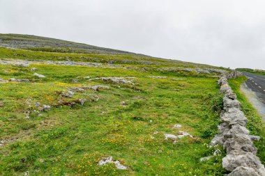 İrlanda 'nın Clare ilçesinin Burren bölgesinde muhteşem sisli bir manzara. Burren Ulusal Parkı 'nda karst kireç taşına maruz kalmış. Sert İrlanda doğası.