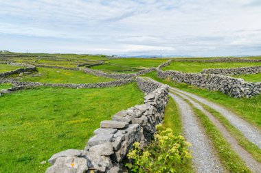 Inishmore ya da Inis Mor, İrlanda 'nın Galway Körfezi' ndeki Aran Adaları 'nın en büyüğü. Güçlü İrlanda kültürüyle, İrlanda diline bağlılığıyla ve antik sitelerin zenginliğiyle ünlüdür..
