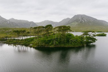 Twelve Pines Island havadan görünümü, on iki pin veya on iki Bens, Connemara, County Galway, İrlanda denilen bir dağ sırasının keskin zirveleri tarafından oluşturulan muhteşem bir arka plan üzerinde duran