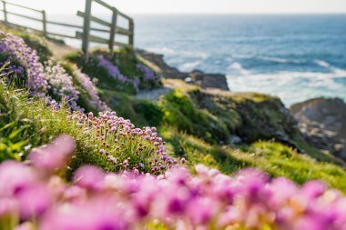 Malin Head 'deki sert ve kayalık sahil, İrlanda' nın en kuzeyindeki nokta, Vahşi Atlantik Yolu, muhteşem kıyı yolu. Doğanın harikaları. Sayısız Keşif Noktaları. Ortak Donegal