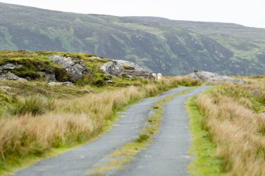 Glengesh Geçidi, batı Donegal 'de muhteşem dağ geçidi. Ardara kasabası ile İrlanda' nın Donegal kentindeki sevimli Glencolumbcille köyü arasında..