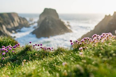 Scheildren, Malin Head 'deki en ikonik ve fotoğraflı manzara, İrlanda' nın en kuzey noktası, Vahşi Atlantik Yolu, muhteşem kıyı yolu. Doğanın harikaları. Sayısız Keşif Noktaları. Ortak Donegal
