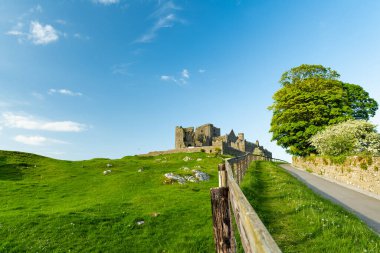 Cashel Kayası, Ayrıca Kings Cashel ve St Patrick's Rock, Cashel, County Tipperary bulunan tarihi bir site olarak da bilinir. İrlanda'nın en ünlü turistik biri.