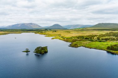 İrlanda 'nın Connemara bölgesindeki Lough Bofin gölünün güzel manzarası. Ufukta muhteşem dağları olan İrlanda manzarası Galway ilçesi, İrlanda.