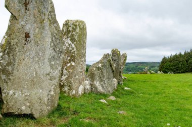 Beltany Taş Çemberi, İrlanda 'nın Donegal ilçesinin Raphoe kasabasının güneyinde bulunan etkileyici bir Bronz Çağı ayin alanı. M.Ö. 2100-700 yıllarından kalma..