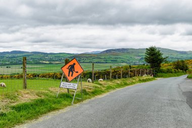 İrlanda 'da yol kenarında çit kesme tabelası. İrlanda. Zümrüt yeşili tarlaları ve çayırları olan güzel İrlanda kırsalları. Kırsal alan.