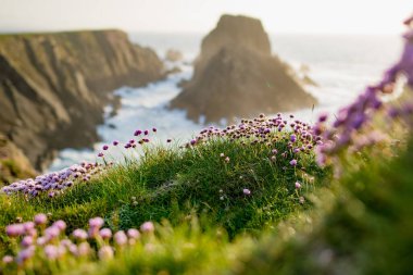 Scheildren, Malin Head 'deki en ikonik ve fotoğraflı manzara, İrlanda' nın en kuzey noktası, Vahşi Atlantik Yolu, muhteşem kıyı yolu. Doğanın harikaları. Sayısız Keşif Noktaları. Ortak Donegal