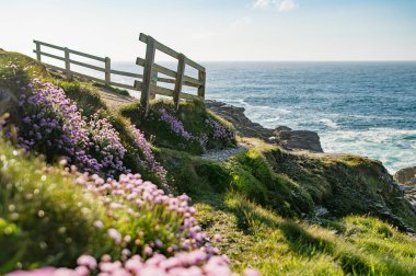 Malin Head 'deki sert ve kayalık sahil, İrlanda' nın en kuzeyindeki nokta, Vahşi Atlantik Yolu, muhteşem kıyı yolu. Doğanın harikaları. Sayısız Keşif Noktaları. Ortak Donegal