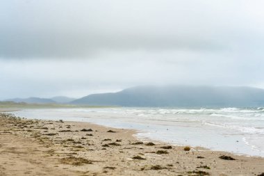 Inç plaj, muhteşem kum ve kumullar, sörf, yüzme ve balıkçılık için popüler harika 5km uzunluğunda streç, Dingle Yarımadası, County Kerry, İrlanda bulunan