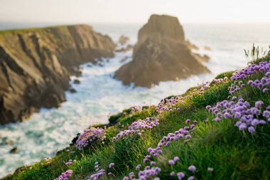 Scheildren, most iconic and photographed landscape at Malin Head, Ireland's northernmost point, Wild Atlantic Way, spectacular coastal route. Wonders of nature. Numerous Discovery Points. Co. Donegal clipart