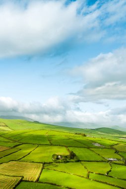 İrlanda 'nın Dingle Yarımadası' nın uçsuz bucaksız yemyeşil otlakları ve tarım arazileri. Zümrüt yeşili tarlaları ve çayırları olan güzel İrlanda kırsalları. Gün batımında kırsal alan.