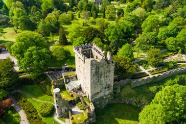 Blarney Kalesi, Cork yakınlarındaki Blarney 'de ortaçağ kalesi, dünyaca ünlü Blarney Stone namı diğer Eloquence Taşı ve ünlü Blarney Gardens' ı ile tanınır. County Cork, İrlanda.