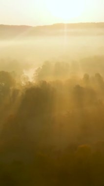 Sonbaharda sarı ve turuncu yapraklı güzel sisli ormanın hava manzarası. Kuşlar sabahın köründe ağaçları ve nehri görür. Sonbahar Şehir Parkı Manzarası.