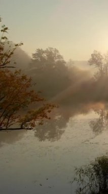 Sonbaharda sarı ve turuncu yapraklı güzel sisli gölün hava manzarası. Kuşlar sabahın köründe ağaçları ve nehri görür. Litvanya, Vilnius 'ta sonbahar şehir parkı manzarası.