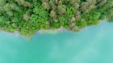 Balsys gölü kıyısında uçan kanoların yukarıdan aşağı görüntüsü, Verkiai Bölgesel Parkı 'ndaki altı güzel gölden biri. Çam ormanlarıyla çevrili manzaralı zümrüt göl. Vilnius şehri, Litvanya.
