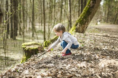 Güzel, güneşli bir bahar gününde ormanda yürüyüş yaparken eğlenen sevimli küçük çocuk. Çocuklarla aktif aile eğlencesi. Doğayı keşfeden çocuk.