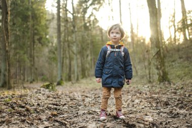 Güzel, güneşli bir bahar gününde ormanda yürüyüş yaparken eğlenen sevimli küçük çocuk. Çocuklarla aktif aile eğlencesi. Doğayı keşfeden çocuk.