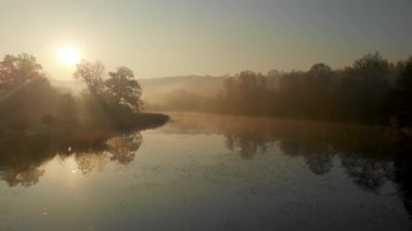 Sonbaharda sarı ve turuncu yapraklı güzel sisli göl manzarası. Kuşlar sabahın köründe ağaçları ve nehri görür. Sonbahar Şehir Parkı Manzarası.